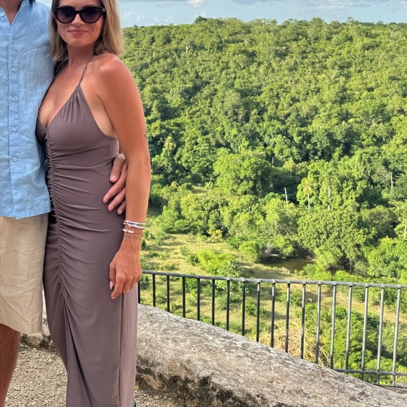 Zara Backless Dress in Taupe - Picture 4 of 4